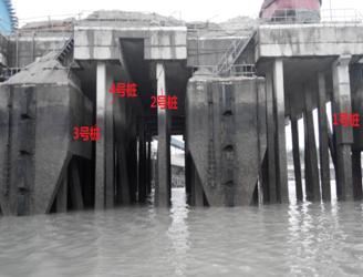 福建湄洲灣電廠碼頭樁檢測(cè)報(bào)告